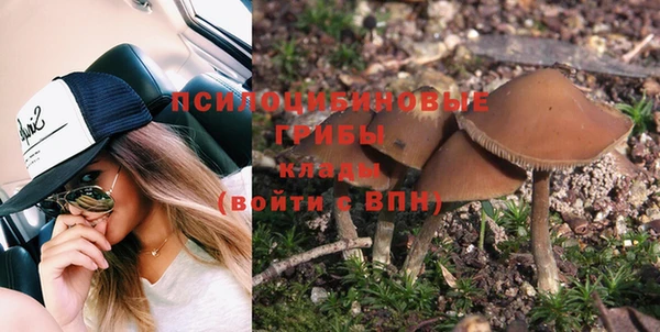 прущие крисы Бронницы