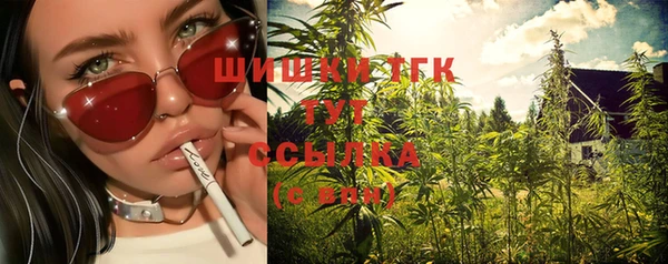 винт Богородск