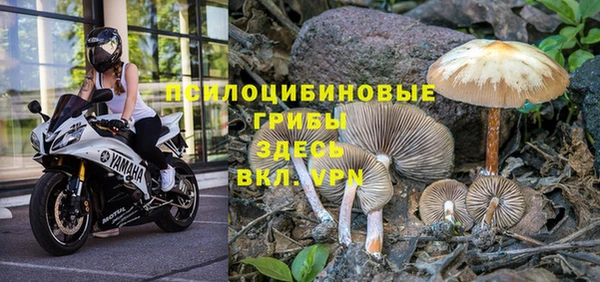 мдма Богданович