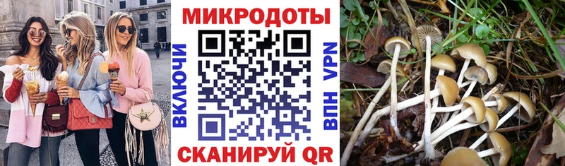 Псилоцибиновые грибы Psilocybine cubensis магазин наркотиков Гулькевичи